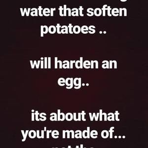 Meet your Posher, Tommy